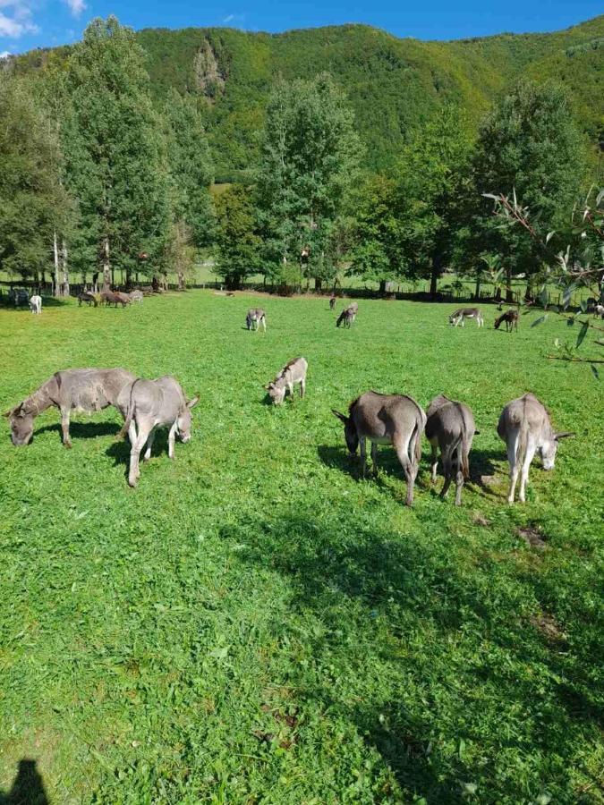 Mountain View Resort Gusinje Kültér fotó